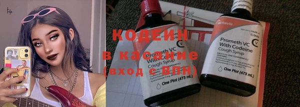 дурь Каменка