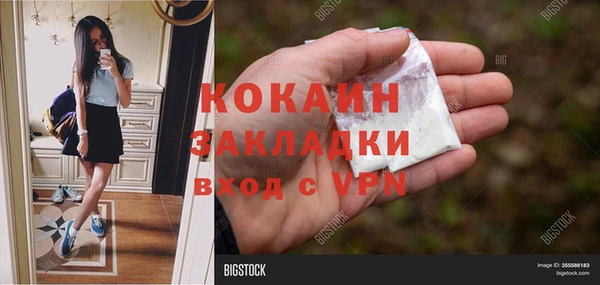 дурь Каменка