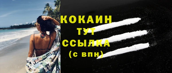 дурь Каменка