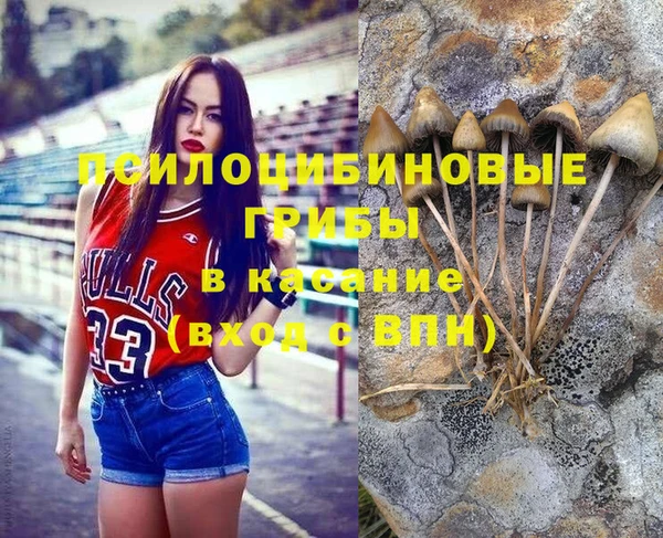 прущая мука Каменногорск