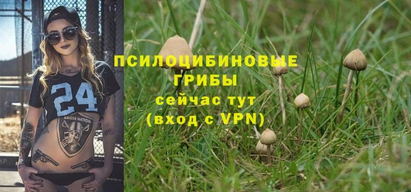 прущая мука Каменногорск