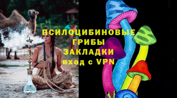 дурь Каменка