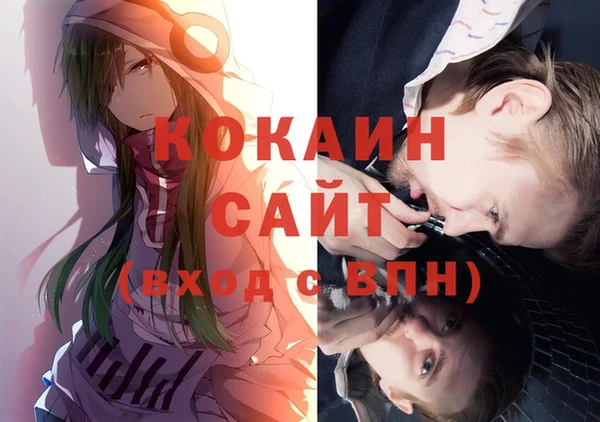 дурь Каменка